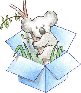 Dropbox Koala