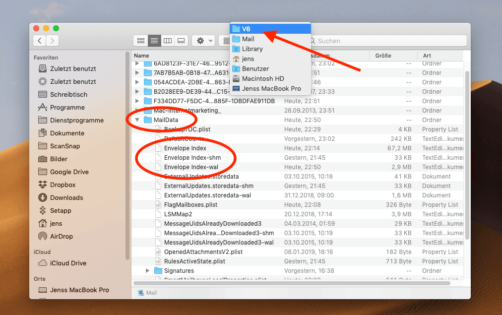 Mit diesem Screenshot seht ihr, wo den Envelope-Dateien unter macOS Mojave zu finden sind.