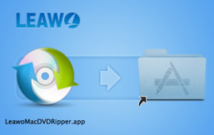 Leawo DVD Ripper Installation