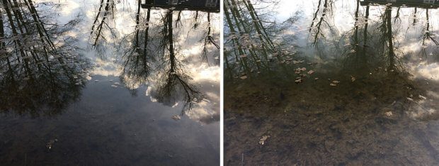 Bei diesen Beiden Fotos des Teichs sieht man sehr gut, wie links ohne CPL-Filter starke Spiegelungen der Bäume zu sehen sind, während man rechts mit CPL-Filter den Boden des Teichs gut erkennen kann.