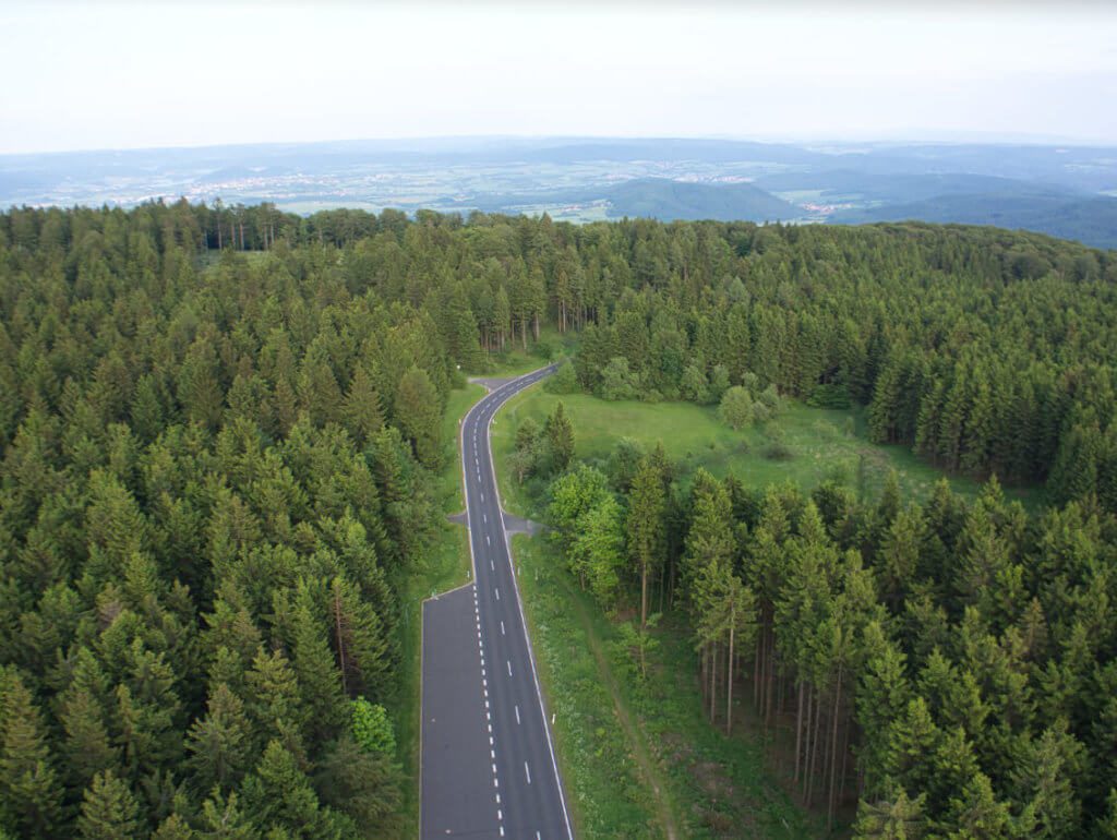 Das besagte Luftbild des Waldes ohne Photolemur-Bearbeitung…