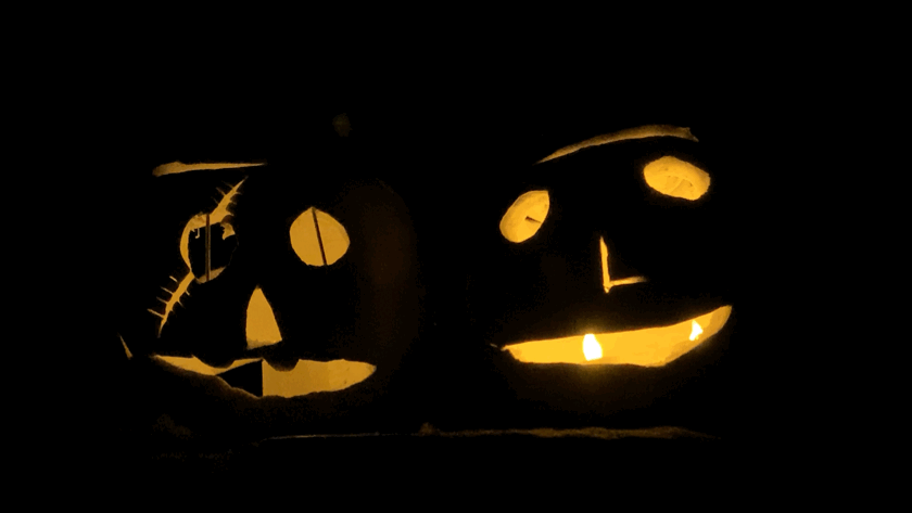 Die elektrischen Kerzen machen einen tollen Job in den Halloween-Kürbissen.