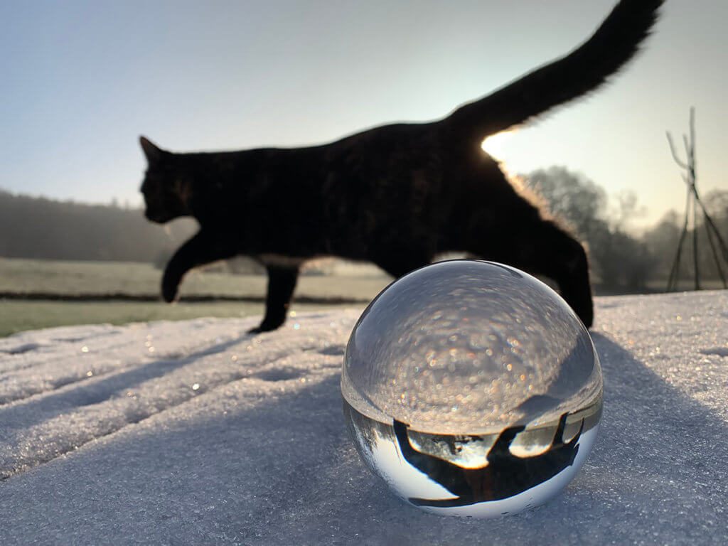 Auch eine schöne Komposition – Schnee, Katze, Glaskugel und ein iPhone XS zum Fotografieren. 