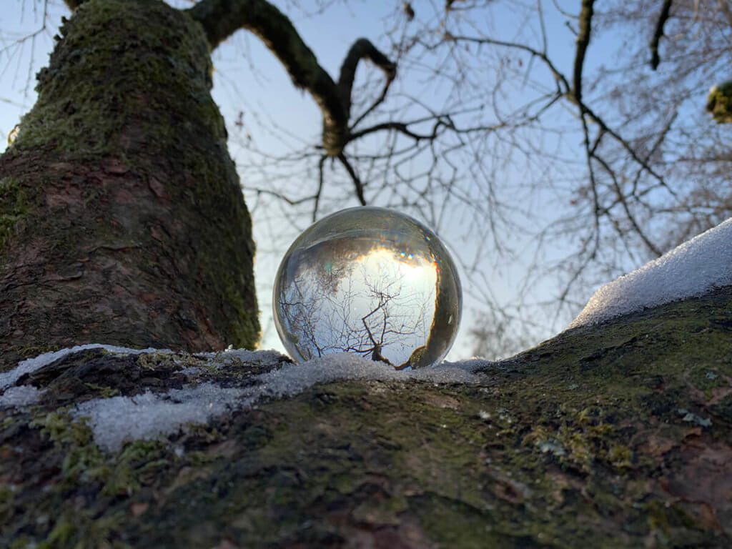 Das war nur ein schneller Test, aber es sieht auch irgendwie interessant aus: Lensball auf einem Baum. 