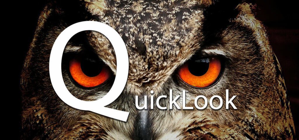 Die Quick Look Funktion unter macOS ist ein sehr praktischer Weg, um schnell in Dokumente oder Bilder zu schauen, ohne das passende Programm öffnen zu müssen (Foto: Pixabay).