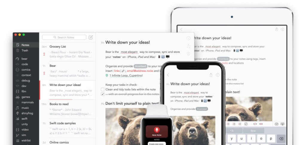 Die Bear App ist eine günstige Evernote-Alternative für iPhone, iPad, Mac und Apple Watch. Notizen in verschiedener Form sind möglich und werden per iCloud synchronisiert.