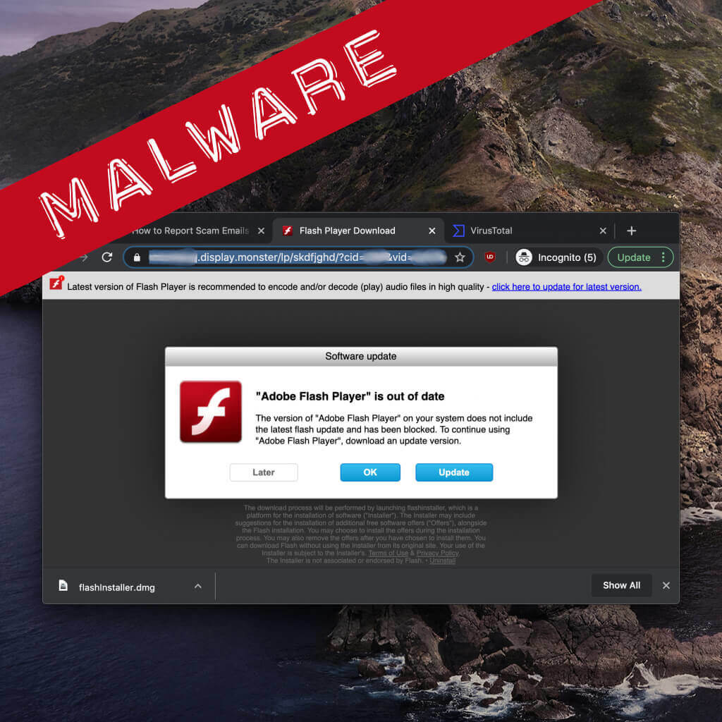 Malware kommt als Flash-Installer