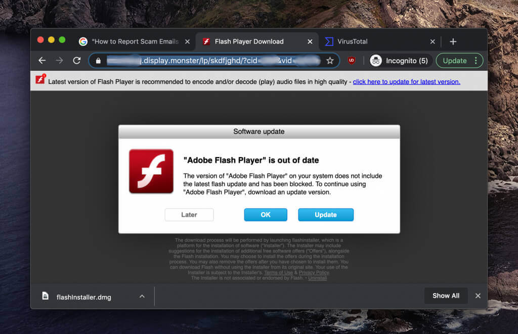 Der Benutzer wird mit der Meldung, dass sein Flash-Player nicht mehr aktuell ist, dazu überredet, die Malware selbst zu laden.