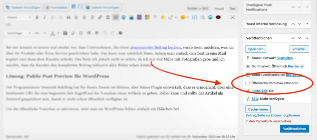 Ist das Plugin in WordPress aktiviert, erscheint rechts in der Veröffentlichen-Box die Möglichkeit, die öffentliche Vorschau einzuschalten.