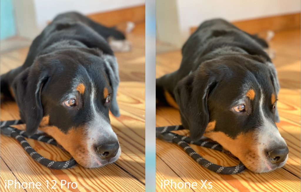 Man glaubt es kaum, aber das Foto links ist mit dem 12 Pro gemacht, während das rechte mit dem Xs fotografiert wurde. In diesem Fall liegt das Xs mit dem Farben eher richtig.