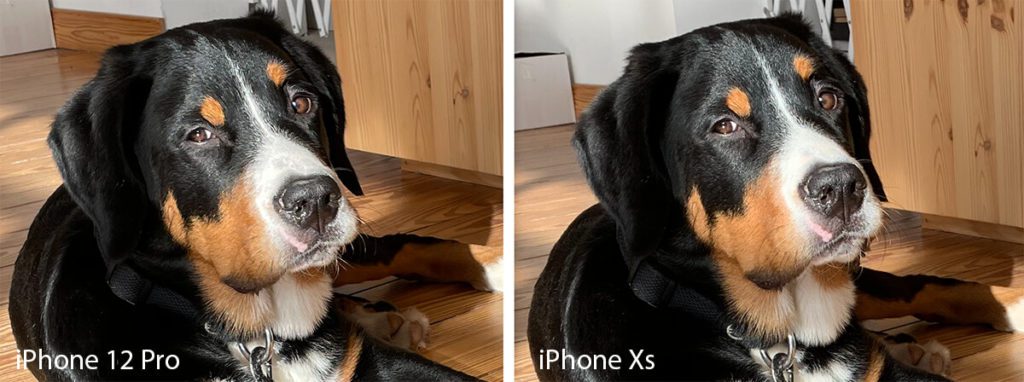 Bei diesen Fotoausschnitten sieht man deutlich: man sieht keinen Unterschied. Beide Kameras liefern ein gutes Bild ab. Bei guten Lichtverhältnissen, ist das iPhone Xs keineswegs schlechter als das iPhone 12 Pro (Fotos: Sir Apfelot).