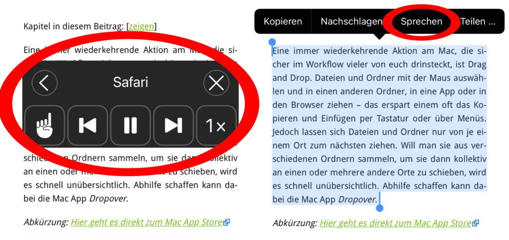 Test mit einem Sir-Apfelot-Beitrag: Ihr könnt den gesamten Display-Text über "Bildschirminhalt sprechen" oder nur den markierten Teil über "Auswahl sprechen" von Siri vorlesen lassen.