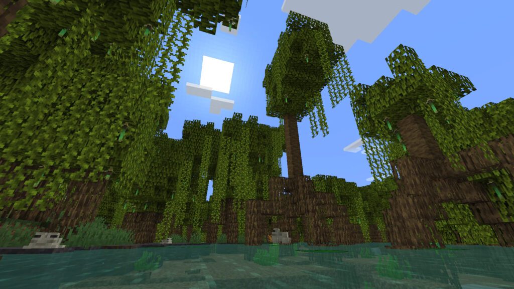 Minecraft Mangroven Biom