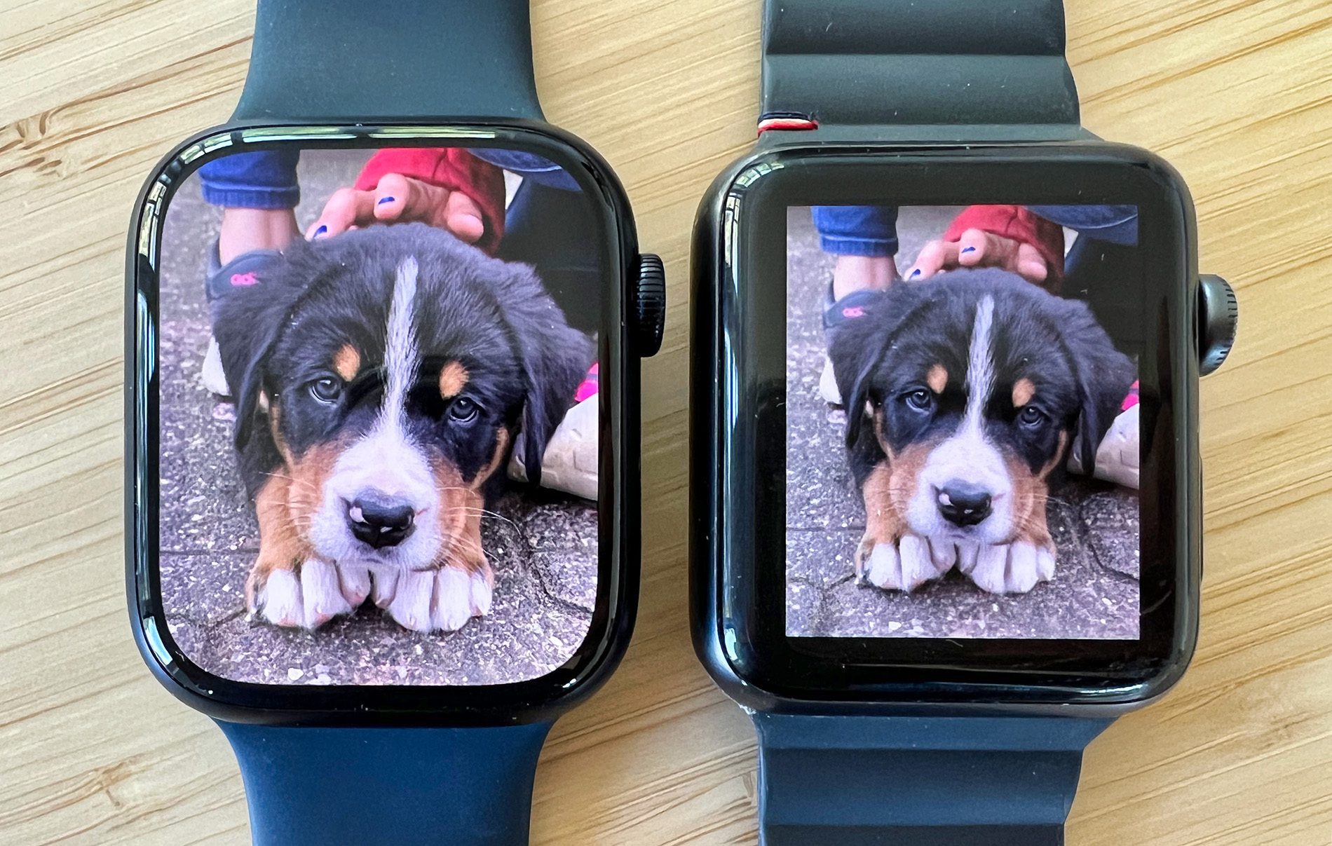 Betrachtet man ein Foto auf der Apple Watch an, wird besonders deutlich, wie viel größer das Display des Watch Series 8 tatsächlich ist.