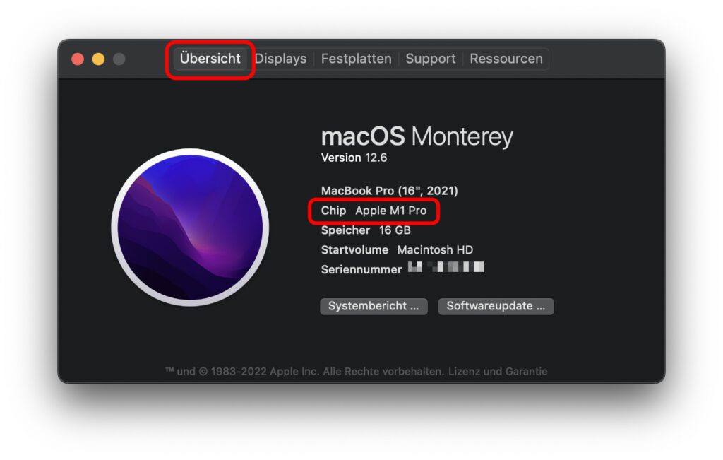 Bevor ihr den Apple Mac im abgesicherten Modus (Safe Mode) startet, stellt sicher, welcher Prozessor / Chip verbaut ist und sucht euch dann die passende Anleitung aus.