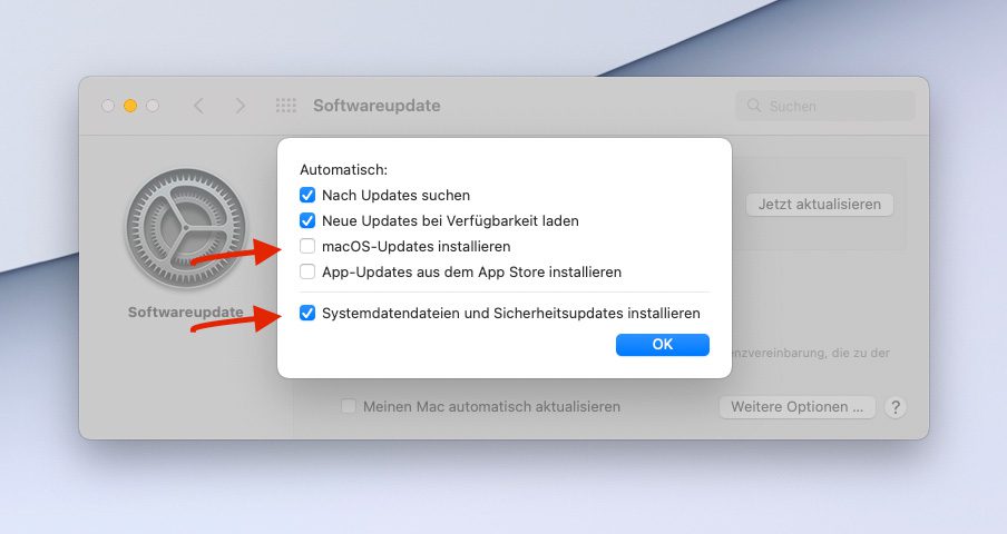 Ich habe bei mir am Mac die Updates so eingestellt, dass macOS-Updates nicht automatisch installiert werden, aber Systemdateien und Sicherheitsupdate sofort installiert werden. Damit bin ich in den letzten Jahren sehr gut gefahren.