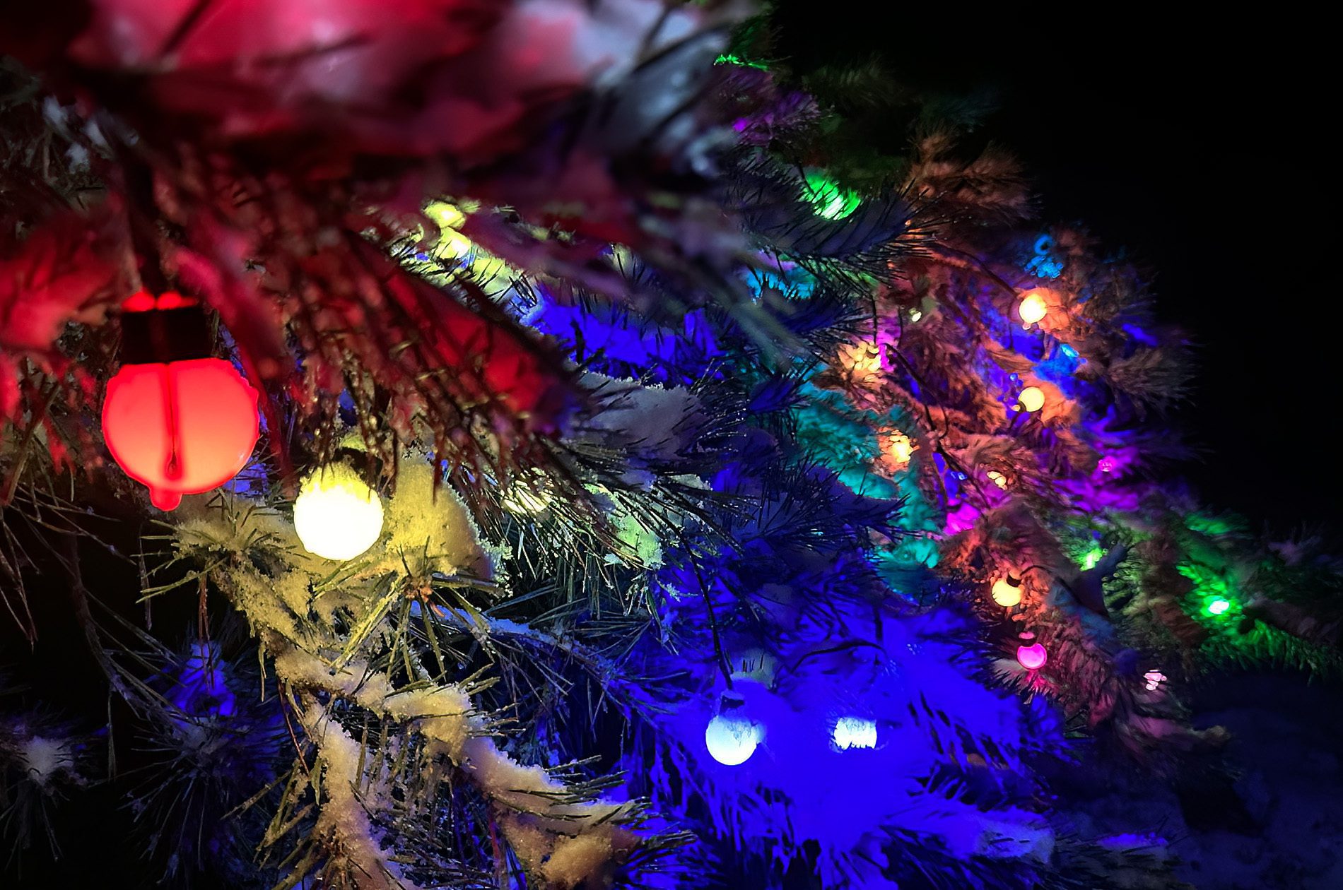 Für Fans einer farbenfrohen Weihnachtsbeleuchtung ist die Lichterkette eine tolle Anschaffung.