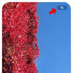 iPhone-Trick: Fotos einfacher (auf Bildschirmgröße) zuschneiden ab iOS 17