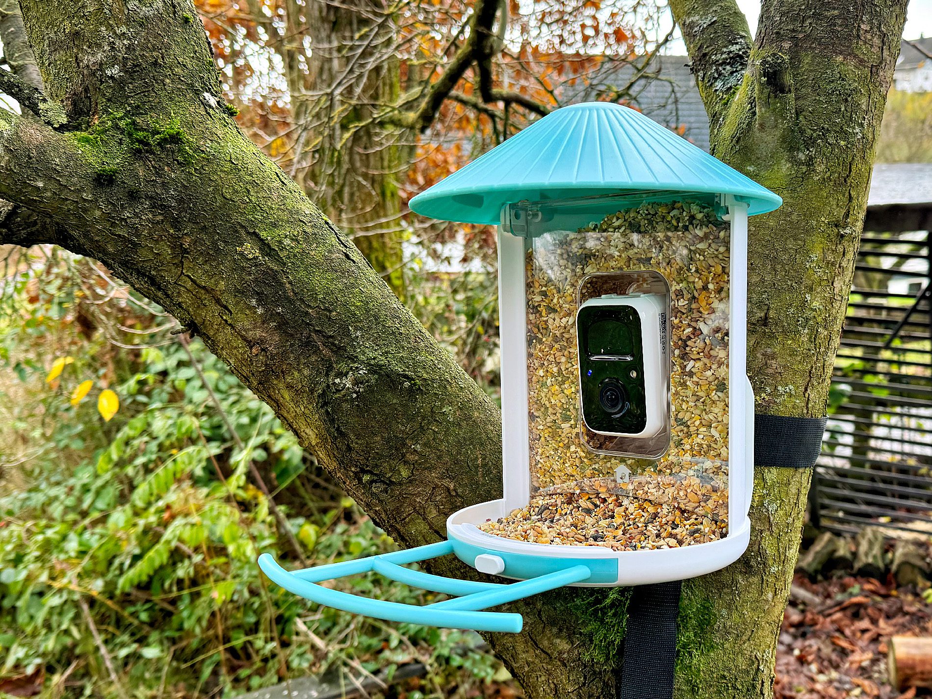 So sieht das Birdfy Futterhaus im Praxiseinsatz in unserem Garten aus – das Solarmodul habe ich jedoch nicht genutzt, da der Akku wochenlang hält (Fotos: Sir Apfelot).