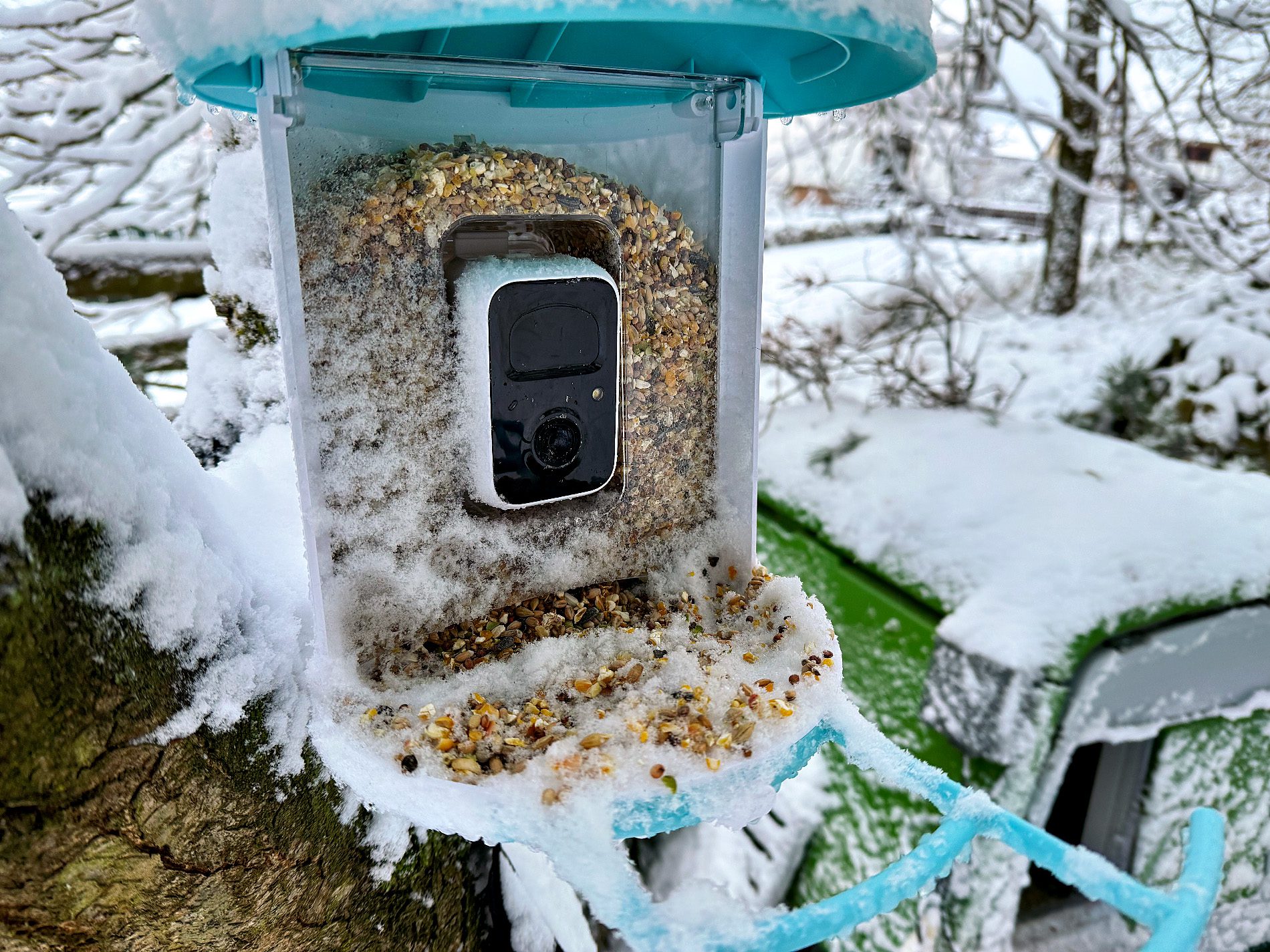 Minustemperaturen, Schnee und Eis haben dem Vogelfutterhäuschen und vor allem der Kamera nichts anhaben können (Fotos: Sir Apfelot).